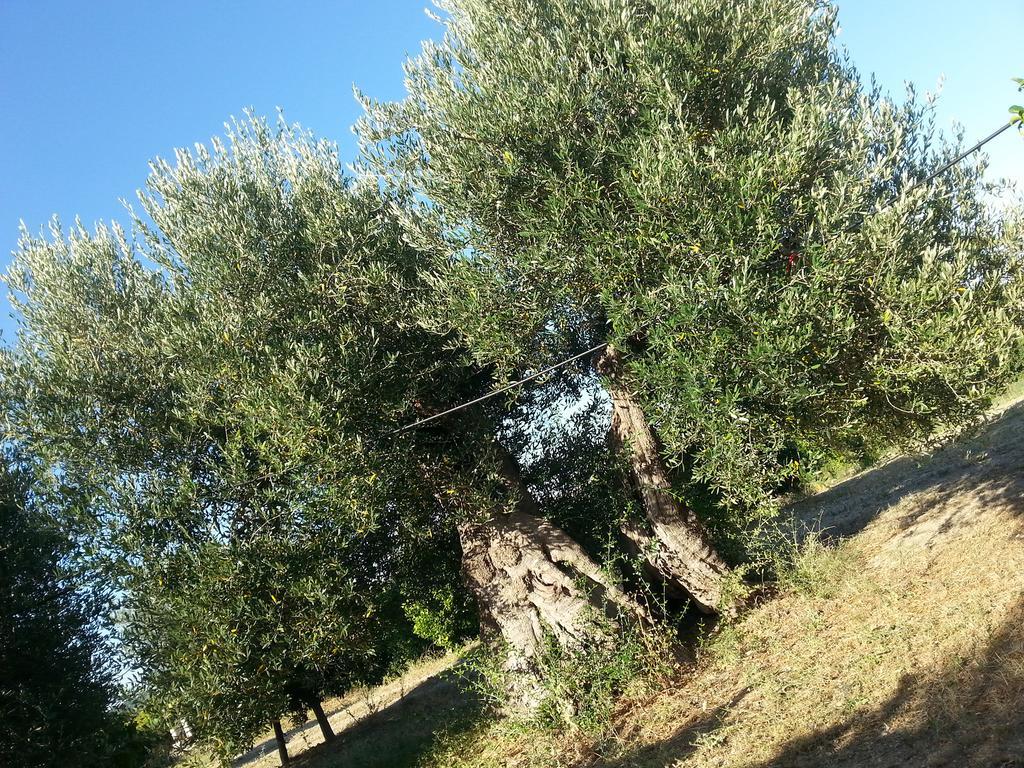 Masseria Marico Кастеланета Екстериор снимка