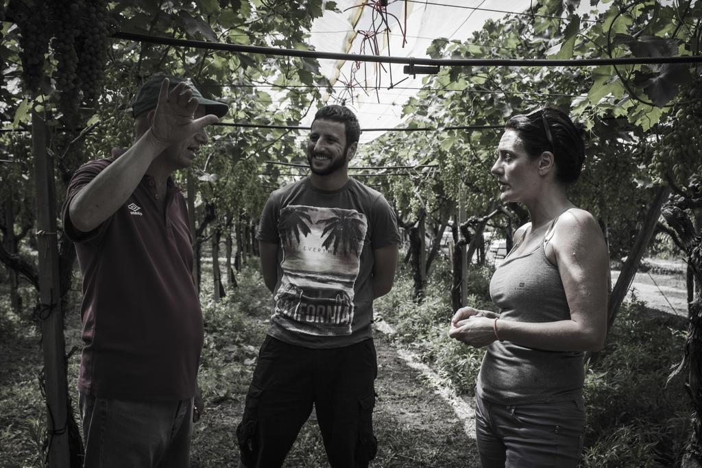 Masseria Marico Кастеланета Екстериор снимка