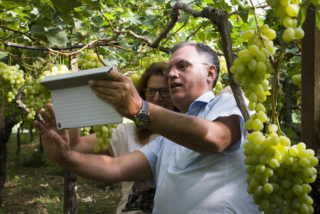 Masseria Marico Кастеланета Екстериор снимка