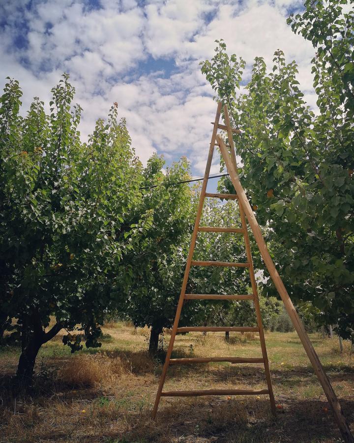 Masseria Marico Кастеланета Екстериор снимка