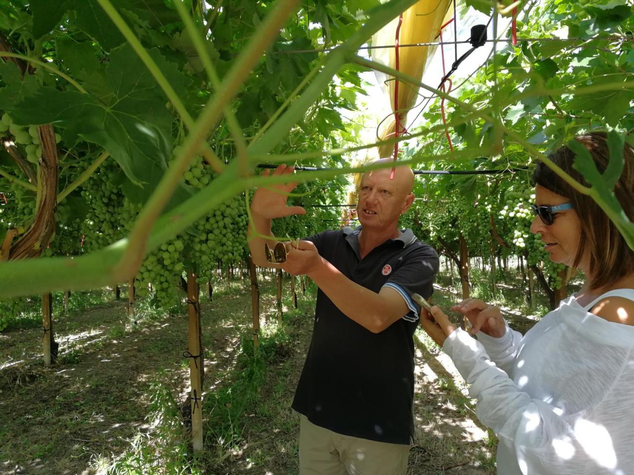 Masseria Marico Кастеланета Екстериор снимка